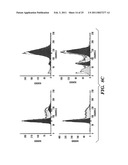 PREDICTIVE MARKER FOR TOPOISOMERASE I INHIBITORS diagram and image