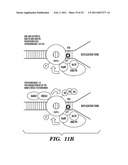 PREDICTIVE MARKER FOR TOPOISOMERASE I INHIBITORS diagram and image