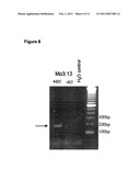 NOGO-A BINDING MOLECULES AND PHARMACEUTICAL USE THEREOF diagram and image