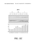 ANTIGEN BINDING PROTEINS TO PROPROTEIN CONVERTASE SUBTILISIN KEXIN TYPE 9 (PCSK9) diagram and image