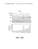 ANTIGEN BINDING PROTEINS TO PROPROTEIN CONVERTASE SUBTILISIN KEXIN TYPE 9 (PCSK9) diagram and image