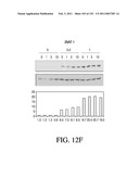 ANTIGEN BINDING PROTEINS TO PROPROTEIN CONVERTASE SUBTILISIN KEXIN TYPE 9 (PCSK9) diagram and image