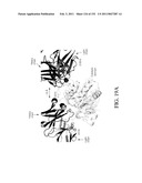 ANTIGEN BINDING PROTEINS TO PROPROTEIN CONVERTASE SUBTILISIN KEXIN TYPE 9 (PCSK9) diagram and image