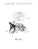 ANTIGEN BINDING PROTEINS TO PROPROTEIN CONVERTASE SUBTILISIN KEXIN TYPE 9 (PCSK9) diagram and image