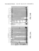 ANTIGEN BINDING PROTEINS TO PROPROTEIN CONVERTASE SUBTILISIN KEXIN TYPE 9 (PCSK9) diagram and image