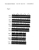 METHOD FOR TREATING SYNOVIAL SARCOMA diagram and image