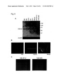 METHOD FOR TREATING SYNOVIAL SARCOMA diagram and image