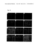 METHOD FOR TREATING SYNOVIAL SARCOMA diagram and image