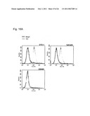 METHOD FOR TREATING SYNOVIAL SARCOMA diagram and image