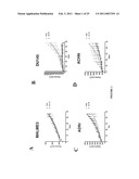 METHODS, SYSTEMS AND PRODUCTS FOR PREDICTING RESPONSE OF TUMOR CELLS TO A THERAPEUTIC AGENT AND TREATING A PATIENT ACCORDING TO THE PREDICTED RESPONSE diagram and image