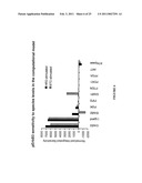 METHODS, SYSTEMS AND PRODUCTS FOR PREDICTING RESPONSE OF TUMOR CELLS TO A THERAPEUTIC AGENT AND TREATING A PATIENT ACCORDING TO THE PREDICTED RESPONSE diagram and image