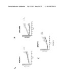 METHODS, SYSTEMS AND PRODUCTS FOR PREDICTING RESPONSE OF TUMOR CELLS TO A THERAPEUTIC AGENT AND TREATING A PATIENT ACCORDING TO THE PREDICTED RESPONSE diagram and image