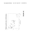 METHODS, SYSTEMS AND PRODUCTS FOR PREDICTING RESPONSE OF TUMOR CELLS TO A THERAPEUTIC AGENT AND TREATING A PATIENT ACCORDING TO THE PREDICTED RESPONSE diagram and image