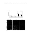 Compositions and Methods for Cancer Treatment diagram and image