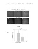 COMBINATION OF PROTEIN VACCINE AND MESENCHYMAL STEM CELLS FOR TREATING CANCER diagram and image