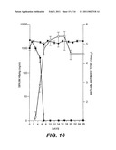 NUCLEOTIDE VECTOR, COMPOSITION CONTAINING SUCH VECTOR, AND VACCINE FOR IMMUNIZATION AGAINST HEPATITIS diagram and image