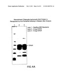 Chlamydia Vaccine Comprising HtrA Polypeptides diagram and image