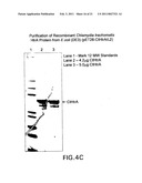 Chlamydia Vaccine Comprising HtrA Polypeptides diagram and image