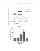 BIOLOGIC REPLACEMENT FOR FIBRIN CLOT diagram and image