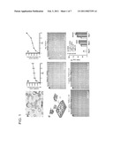 POROUS IMPLANTS AND STENTS AS CONTROLLED RELEASE DRUG DELIVERY CARRIERS diagram and image