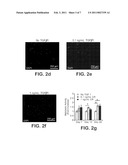 POROUS IMPLANTS AND STENTS AS CONTROLLED RELEASE DRUG DELIVERY CARRIERS diagram and image