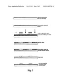 NANO-PARTICLE DISPERSIONS diagram and image