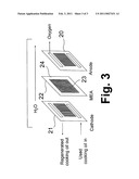 ON-SITE FRYING OIL REGENERATION METHOD AND APPARATUS diagram and image