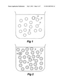 Dried Formulations of Nanoparticle-Coated Capsules diagram and image