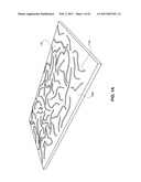 ANISOTROPIC NANOTUBE FABRIC LAYERS AND FILMS AND METHODS OF FORMING SAME diagram and image