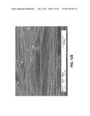 ANISOTROPIC NANOTUBE FABRIC LAYERS AND FILMS AND METHODS OF FORMING SAME diagram and image