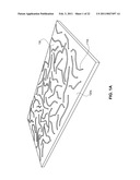 ANISOTROPIC NANOTUBE FABRIC LAYERS AND FILMS AND METHODS OF FORMING SAME diagram and image