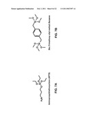 ANISOTROPIC NANOTUBE FABRIC LAYERS AND FILMS AND METHODS OF FORMING SAME diagram and image