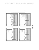 ANISOTROPIC NANOTUBE FABRIC LAYERS AND FILMS AND METHODS OF FORMING SAME diagram and image