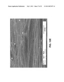 ANISOTROPIC NANOTUBE FABRIC LAYERS AND FILMS AND METHODS OF FORMING SAME diagram and image