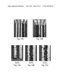 ELECTROPHORETIC ASSEMBLY OF ELECTROCHEMICAL DEVICES diagram and image