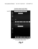 HIGHLY SENSITIVE METHOD FOR DETECTION OF VIRAL HIV DNA REMAINING AFTER ANTIRETROVIRAL THERAPY OF AIDS PATIENTS diagram and image