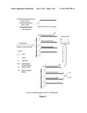 Hybridization Quantitation Method for Modified Micro-RNA and -DNA Based Oligonucleotides diagram and image