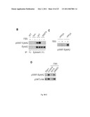 EphA KINASE CANCER DIAGNOSTIC diagram and image