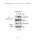 EphA KINASE CANCER DIAGNOSTIC diagram and image