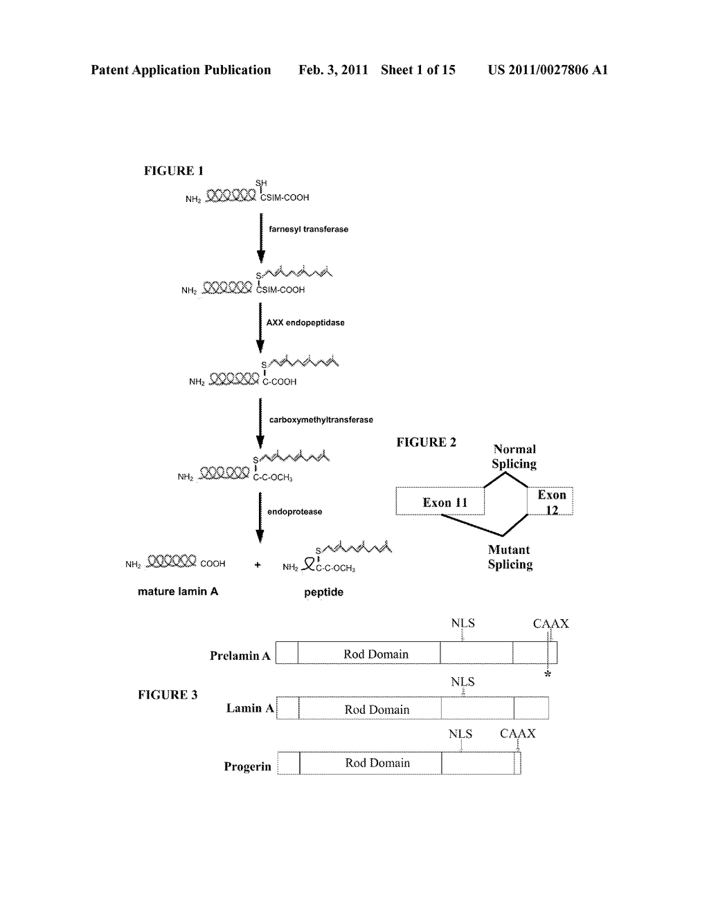 FARNESYLTRANSFERASE INHIBITORS FOR TREATMENT OF LAMINOPATHIES, CELLULAR AGING AND ATHEROSCLEROSIS - diagram, schematic, and image 02