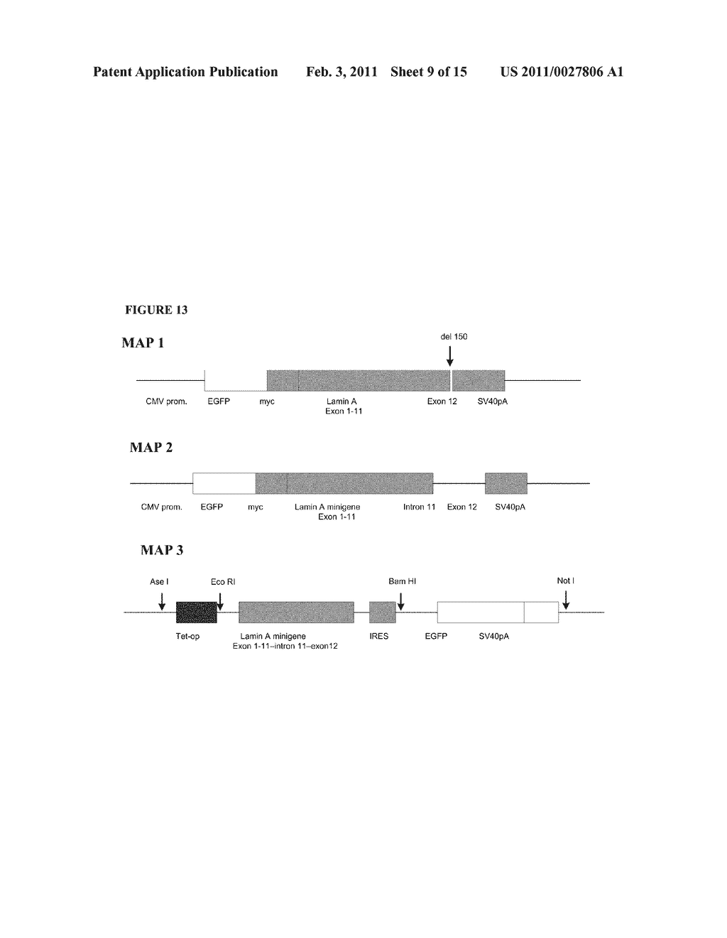 FARNESYLTRANSFERASE INHIBITORS FOR TREATMENT OF LAMINOPATHIES, CELLULAR AGING AND ATHEROSCLEROSIS - diagram, schematic, and image 10