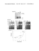 FARNESYLTRANSFERASE INHIBITORS FOR TREATMENT OF LAMINOPATHIES, CELLULAR AGING AND ATHEROSCLEROSIS diagram and image