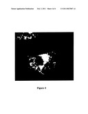 PROTEIN SPECIFIC TO PANCREATIC BETA CELLS IN ISLETS OF LANGERHANS AND APPLICATIONS THEREOF diagram and image