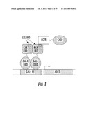 ENGINEERING ENZYMES THROUGH GENETIC SELECTION diagram and image