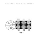 ENGINEERING ENZYMES THROUGH GENETIC SELECTION diagram and image