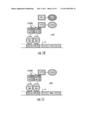 ENGINEERING ENZYMES THROUGH GENETIC SELECTION diagram and image