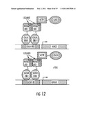 ENGINEERING ENZYMES THROUGH GENETIC SELECTION diagram and image