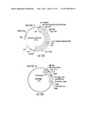 ENGINEERING ENZYMES THROUGH GENETIC SELECTION diagram and image