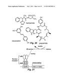 ENGINEERING ENZYMES THROUGH GENETIC SELECTION diagram and image