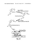 ENGINEERING ENZYMES THROUGH GENETIC SELECTION diagram and image